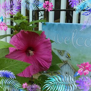 Meet your Posher, Deborah